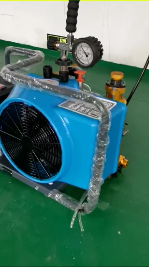 High Quality 300bar Air Compressor Diving Scuba Breathing Cylinder Fire Breathing Pump for Breathing